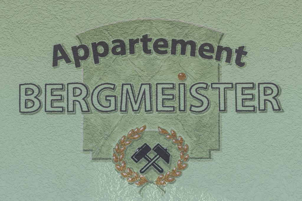 Appartement Bergmeister Rauris Exteriör bild